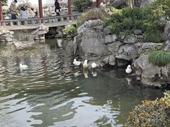 -豫园