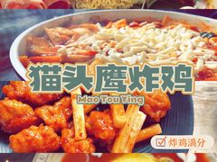 -猫头鹰炸鸡