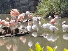-宁波野生动物园