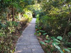 -水濂山森林公园