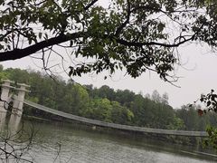 -东湖落雁景区