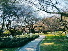 -杭州植物园