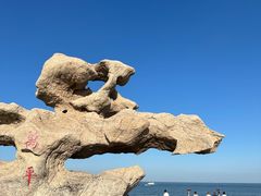 -日照海滨国家森林公园
