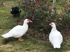 -木兰水镇旅游景区
