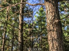 -艾溪湖湿地公园