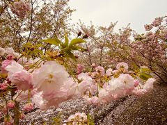 -广富林郊野公园