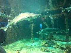 -华夏文旅海洋公园