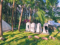 -硗碛藏寨·神木垒景区