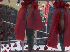 -枫叶小镇奥特莱斯
