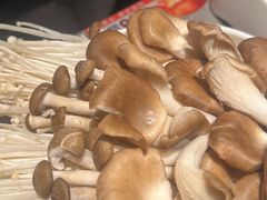 -菌自在·云南野生菌火锅(长安万达店)