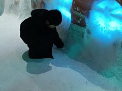 -海合安成都极地海洋公园