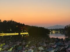 -江心屿景区