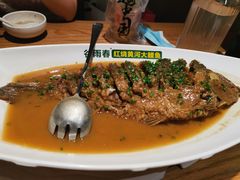 -阿五黄河大鲤鱼(纬三路店)