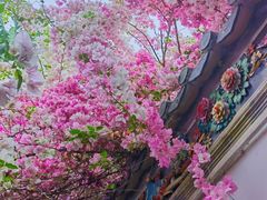-深圳国际园林花卉博览园