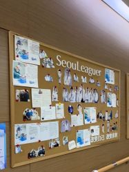 -上海首尔丽格医疗美容医院