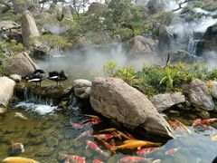 -罗红摄影艺术馆