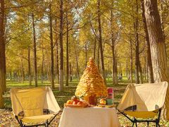 -渭河城市绿地运动公园