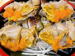 -渔娘渔家丹东海鲜(东直门店)