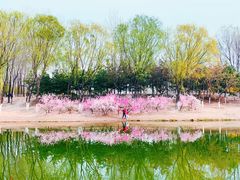 -大兴滨河森林公园