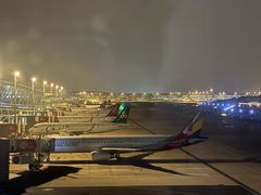 -上海浦东国际机场-T2航站楼