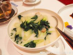 浓汤奶白菜-东富酒家(龙湖西溪天街店)