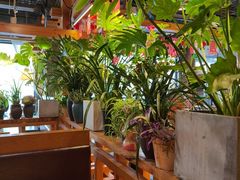 -素虎料理(前门店)
