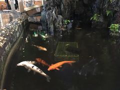 -荔城生鲜盛宴(番禺旗舰店)