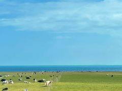 -青海湖国家重点风景名胜区