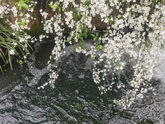 -中国茶叶博物馆(双峰馆区)