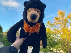 -济州岛泰迪熊博物馆