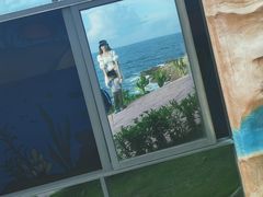-广东惠东海龟国家级自然保护区