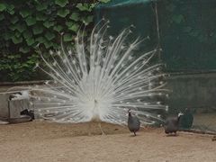 -秦皇岛野生动物园