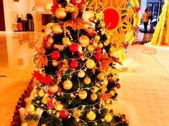 -武汉马哥孛罗酒店