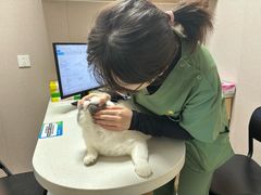-瑞鹏宠物医院·骨科·猫科·内科(第一中心)