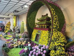 -杭州植物园