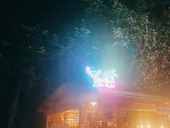 -SWAG·日咖夜酒·城市露营