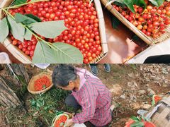 -樱桃山旅游景区