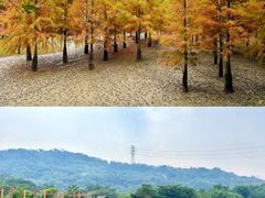 -丹樱生态园
