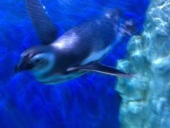 -石林冰雪海洋世界