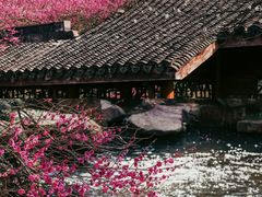 -杭州植物园