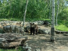 -北京野生动物园