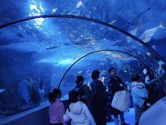 -太平洋海底世界