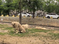 -秦皇岛野生动物园