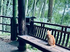 -东天目山风景区