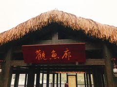 -枫香湖儿童公园