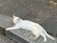 -宝通禅寺