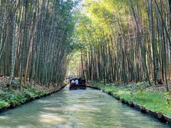 -同里国家湿地公园