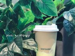 -SENTEA森茶(麦地丽日店)