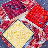 长沙首家·🔥爆南京的小春日和提拉米苏来啦❗️