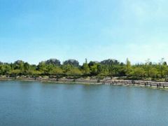 -新江湾城公园